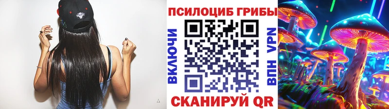 Купить где  Орёл  Галлюциногенные грибы мицелий 