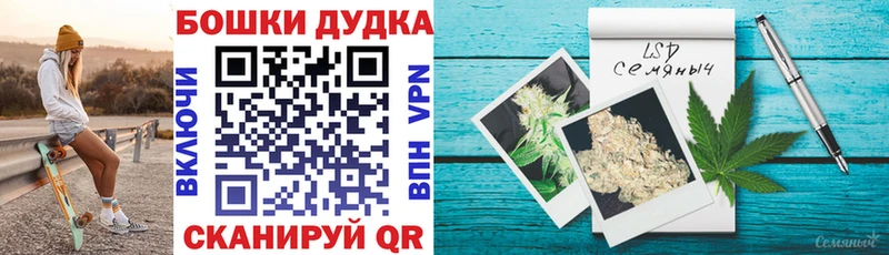Купить  Орёл  Каннабис план 